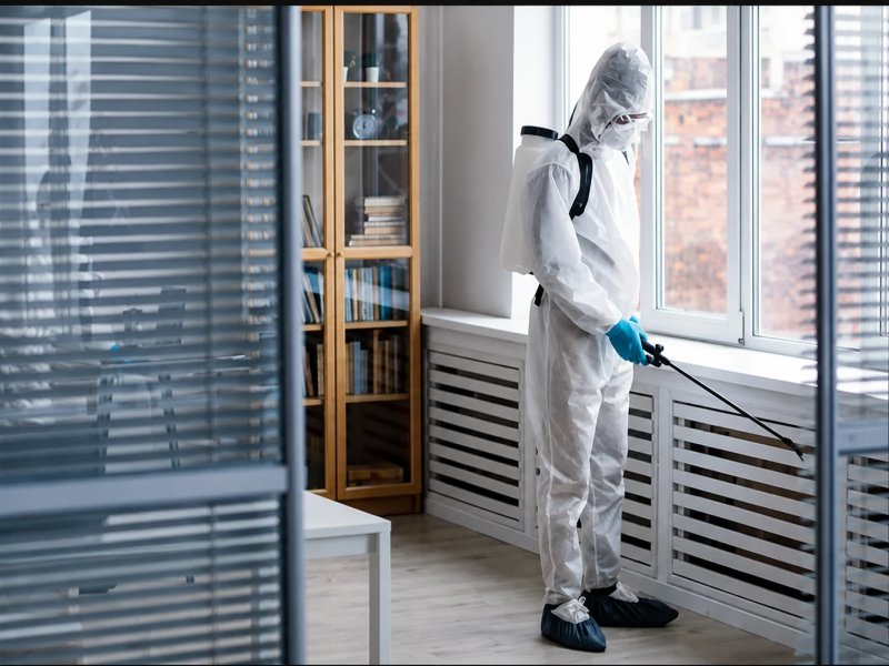 Mold Removal & Remediation Services in Singapore
