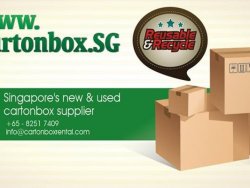 cartonbox.sg