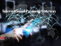 What Would Be The Properties Of An International Payment Gateway?