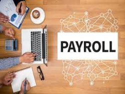payroll service providers
